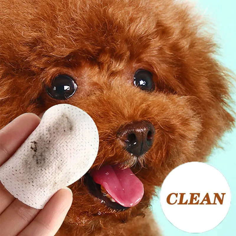 Pet Eye Wipes for Cats & Dogs – Tear Stain Cleaning Wet Wipes